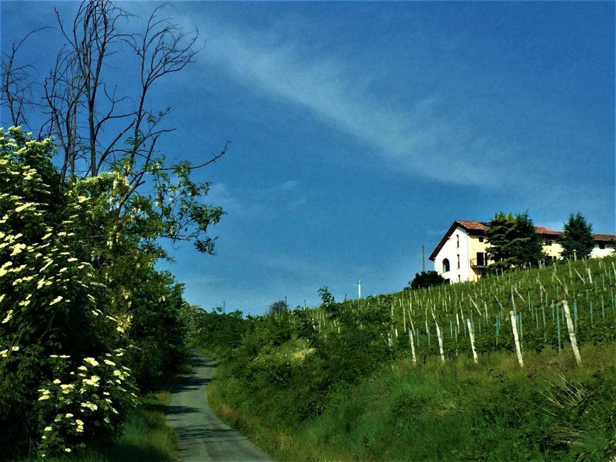 Cascina Malinverni Rocchetta Palafea Eksteriør billede